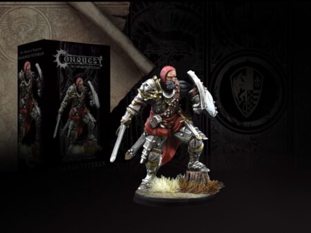 Hundred  Kingdoms: Seasoned Veteran (Officer)