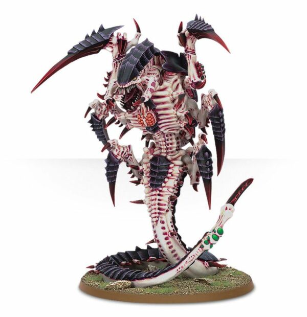 Trygon  (Web Only)